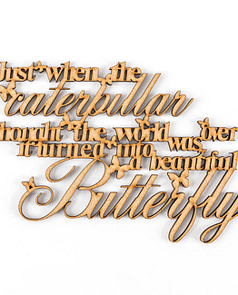 butterfly quote